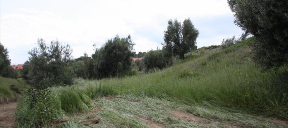 23000m² Hotel in Chalkidiki, Greece No. 6364 4