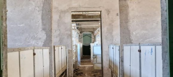 Земельный участок 800м² в Фаньяно Альто, Италия № 43146 9