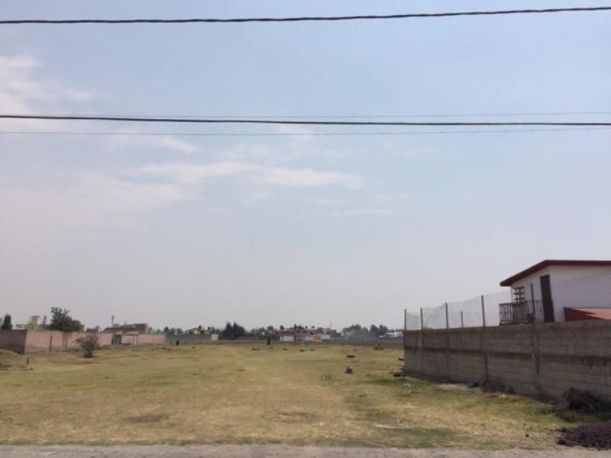  Land in Mexico No. 204996