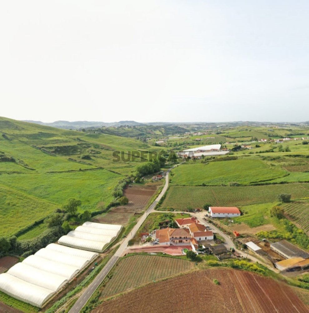 Terrain à Mafra, Portugal No. 308522