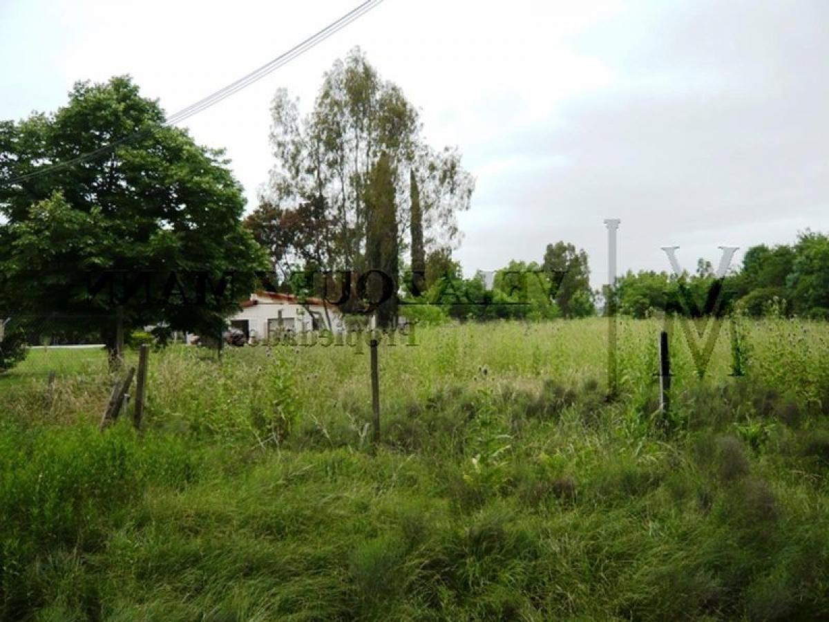  Land in Esteban Echeverria, Argentina No. 37096