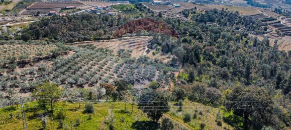 9 bedrooms House in Murca, Portugal No. 53660 32