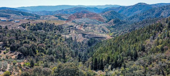 9 bedrooms House in Murca, Portugal No. 53660 33