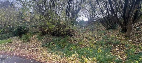 Terreno en Rastatt, Germany No. 320377 3