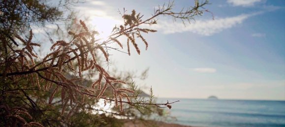 2 bedrooms Apartment in Villajoyosa, Spain No. 11095 5