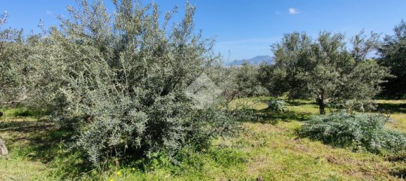 1090m² Land in Altofonte, Italy No. 303472 9
