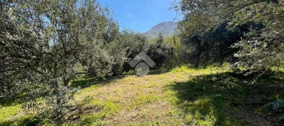 1090m² Land in Altofonte, Italy No. 303472 16