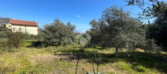 1090m² Land in Altofonte, Italy No. 303472 17