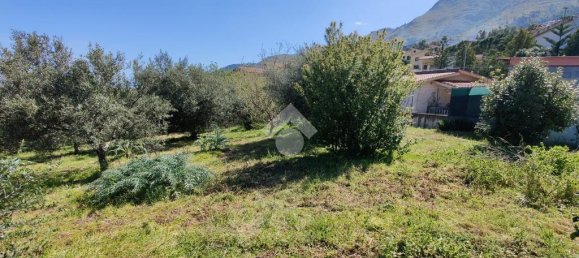 1090m² Land in Altofonte, Italy No. 303472 2