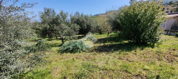 1090m² Land in Altofonte, Italy No. 303472 3