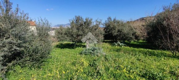 1090m² Land in Altofonte, Italy No. 303472 18