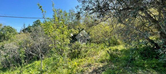 1090m² Land in Altofonte, Italy No. 303472 20