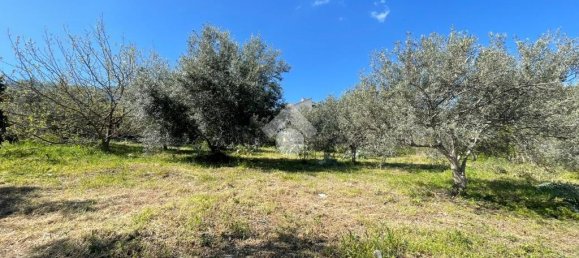 1090m² Land in Altofonte, Italy No. 303472 6