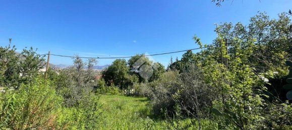 1090m² Land in Altofonte, Italy No. 303472 7