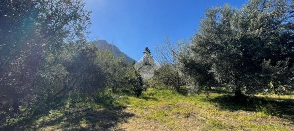 1090m² Land in Altofonte, Italy No. 303472 11