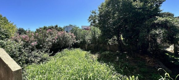 3 Schlafzimmer Haus in Biguglia, France, Nr. 301034 11