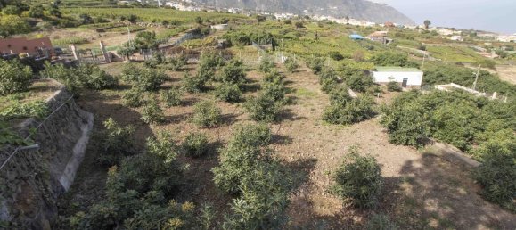 3 bedrooms House in Los Realejos, Spain No. 60090 42