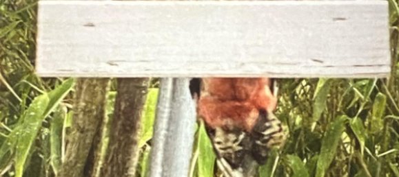 2 bedrooms Apartment in Overath, Germany No. 334674 13