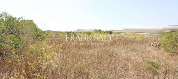 3 chambres Ferme à Kalkara, Malta No. 2453 3