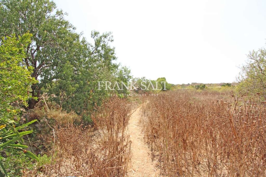 3 chambres Ferme à Kalkara, Malta No. 2453