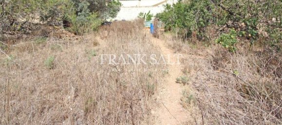 3 chambres Ferme à Kalkara, Malta No. 2453 2