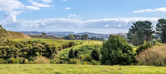  قطعة أرض في Pauatahanui, New Zealand 21000متر مربع رقم 83 2