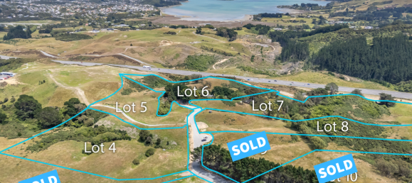  قطعة أرض في Pauatahanui, New Zealand 21000متر مربع رقم 83 6