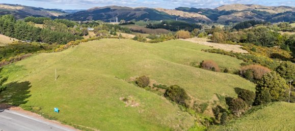  قطعة أرض في Pauatahanui, New Zealand 21000متر مربع رقم 83 3