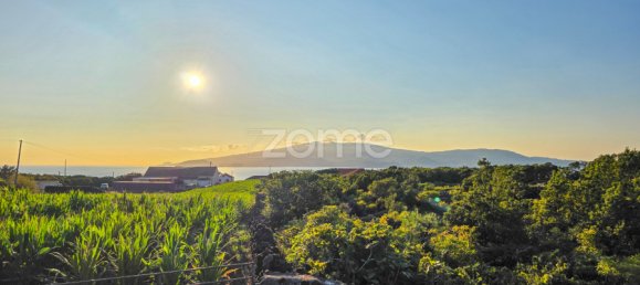  Land in Madalena, Portugal No. 296121 19