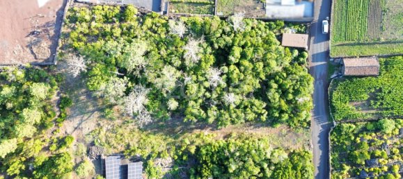  Land in Madalena, Portugal No. 296121 7