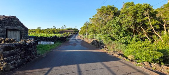 Land in Madalena, Portugal No. 296121 17