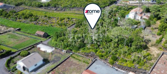  Land in Madalena, Portugal No. 296121 11