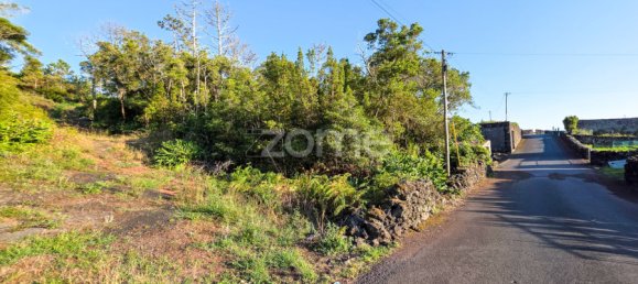  Land in Madalena, Portugal No. 296121 4