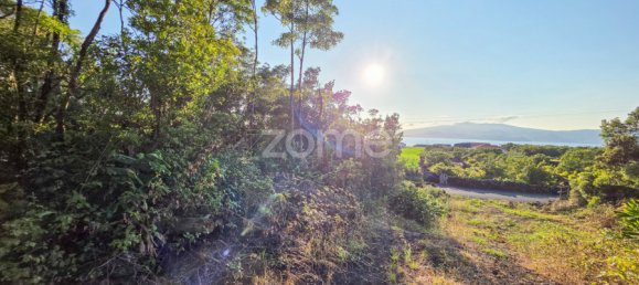  Land in Madalena, Portugal No. 296121 16