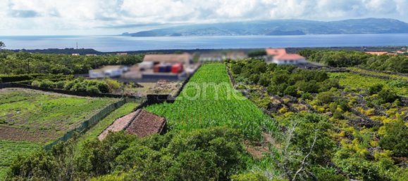  Land in Madalena, Portugal No. 296121 12