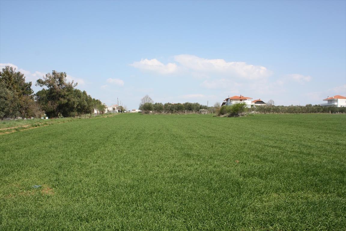 8000m² hôtel à vendre à Thessaloniki, Central Macedonia, Macedonia and Thrace, Greece № 6401