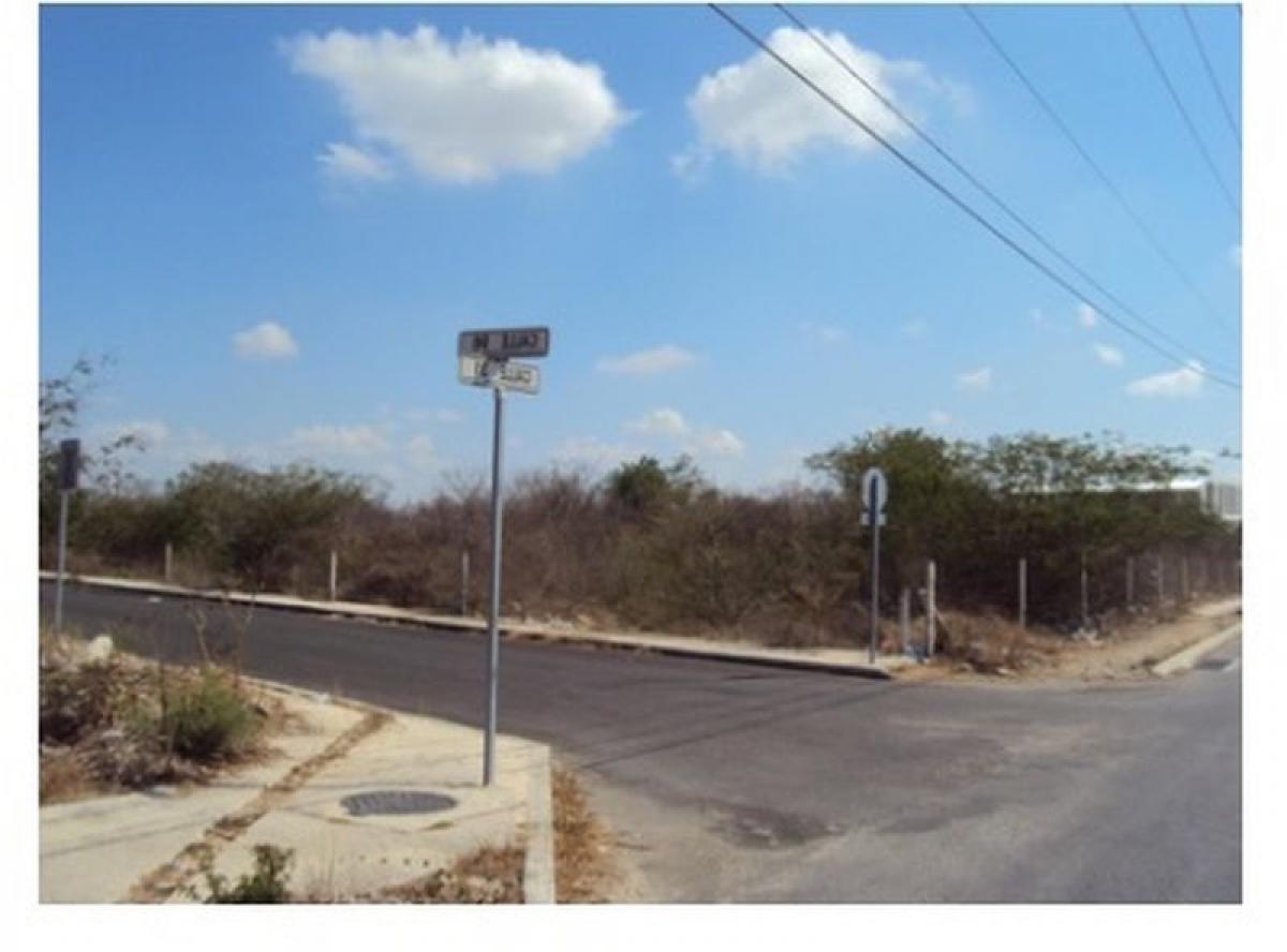  Land in Merida, Mexico No. 128389