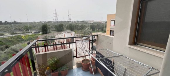 Apartamento de 3 divisões em Molfetta, Italy N.º 17061 19