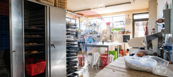 2-salle Propriété commerciale à Mascalucia, Italy No. 88027 21