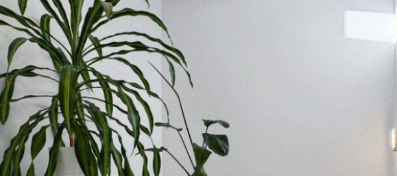 4 rooms Townhouse in Vienna, Austria No. 214358 8