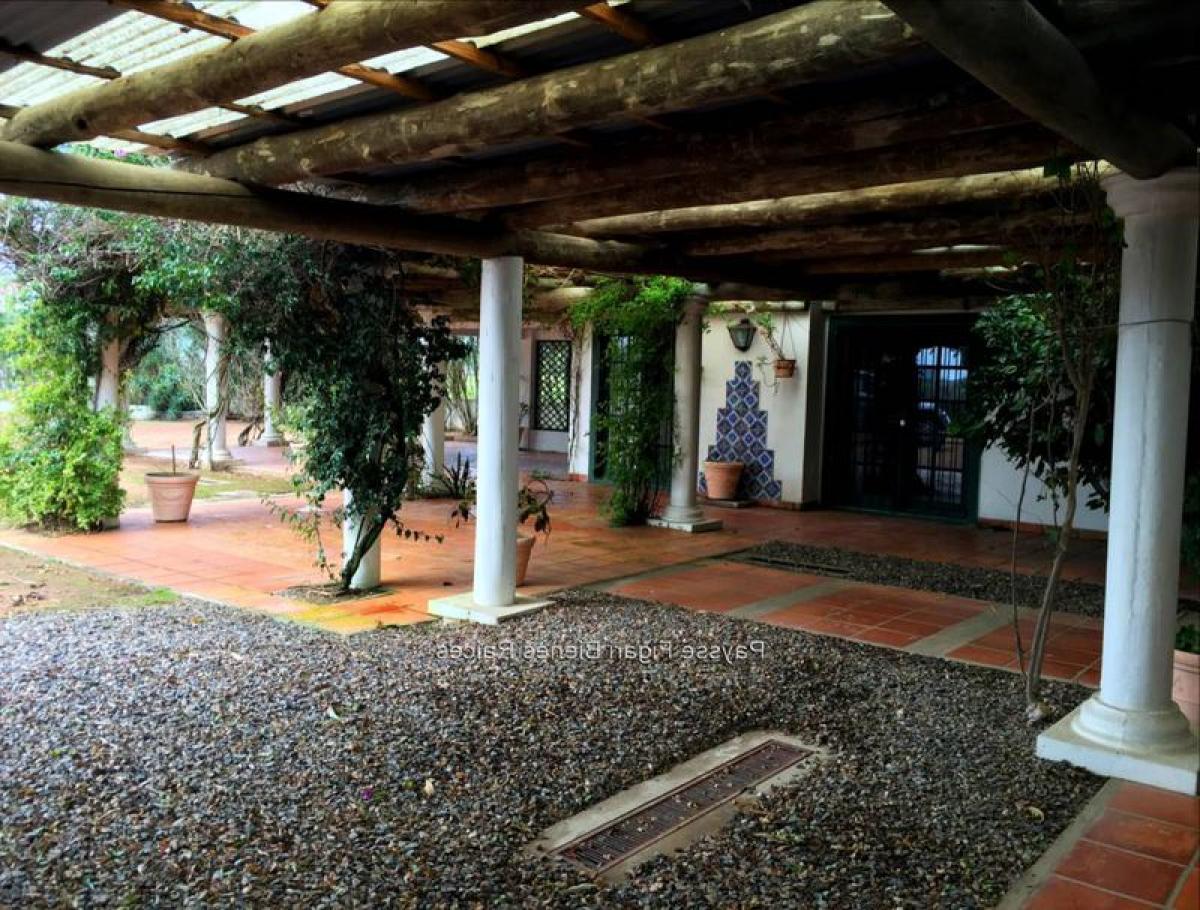 8 bedrooms House in Maldonado, Uruguay No. 5159