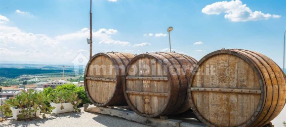 Casa de 7 dormitorios en Minervino Murge, Italy No. 175768 7