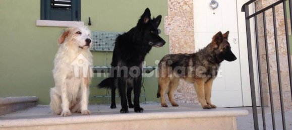 Casa de 7 dormitorios en Minervino Murge, Italy No. 175768 39