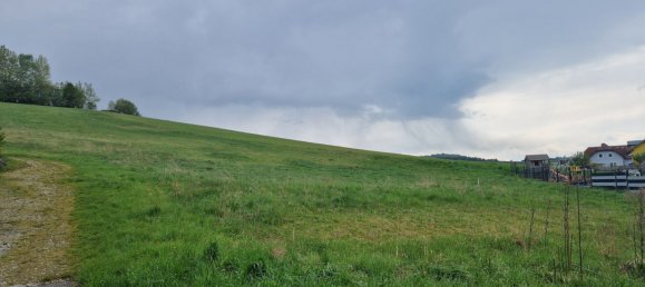 Земельный участок в Вайнцирль ам Вальде, Австрия № 137937 5