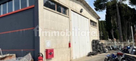 1 room Warehouse in Pescara, Italy No. 292586 9