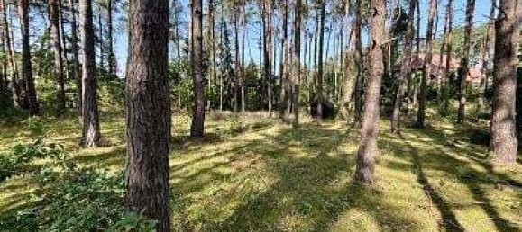 Grundstück in Lüchow-Dannenberg, Germany 2444m², Nr. 353333 3