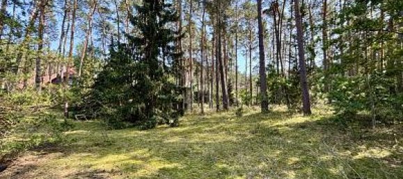 Grundstück in Lüchow-Dannenberg, Germany 2444m², Nr. 353333 2