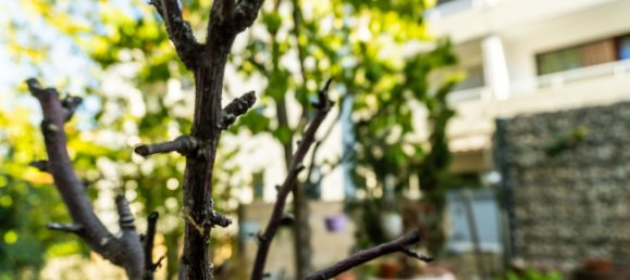 Таунхаус с 3 спальнями в Людвигсхафен, Германия № 338732 15