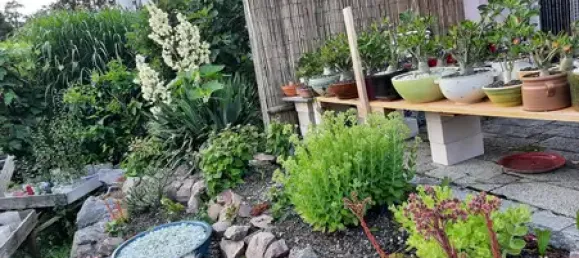 3 bedrooms House in Waldshut, Germany No. 114926 15