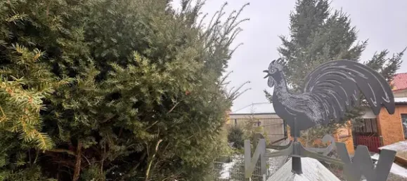 4-Zimmer Haus in Brandenburg, Germany, Nr. 33940 29